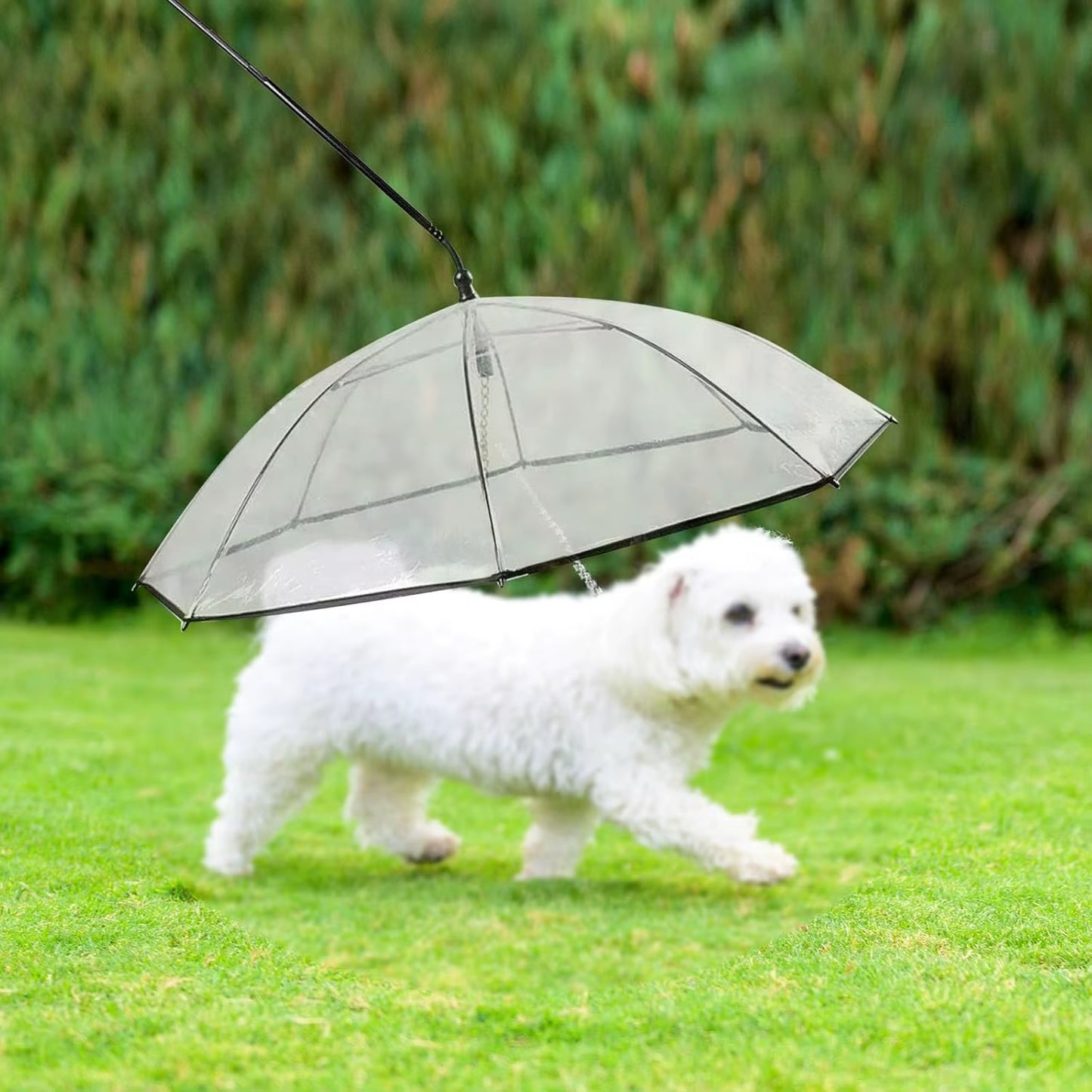 Adjustable Classic Clear Folding Pet Umbrella with C Hook Summer Hot Sale Manual Control for Dry Rain for Travel Wedding