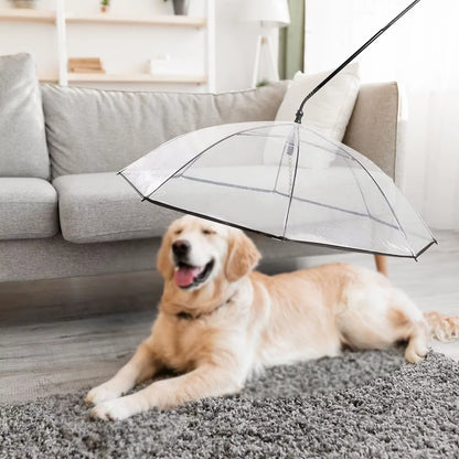 Adjustable Classic Clear Folding Pet Umbrella with C Hook Summer Hot Sale Manual Control for Dry Rain for Travel Wedding